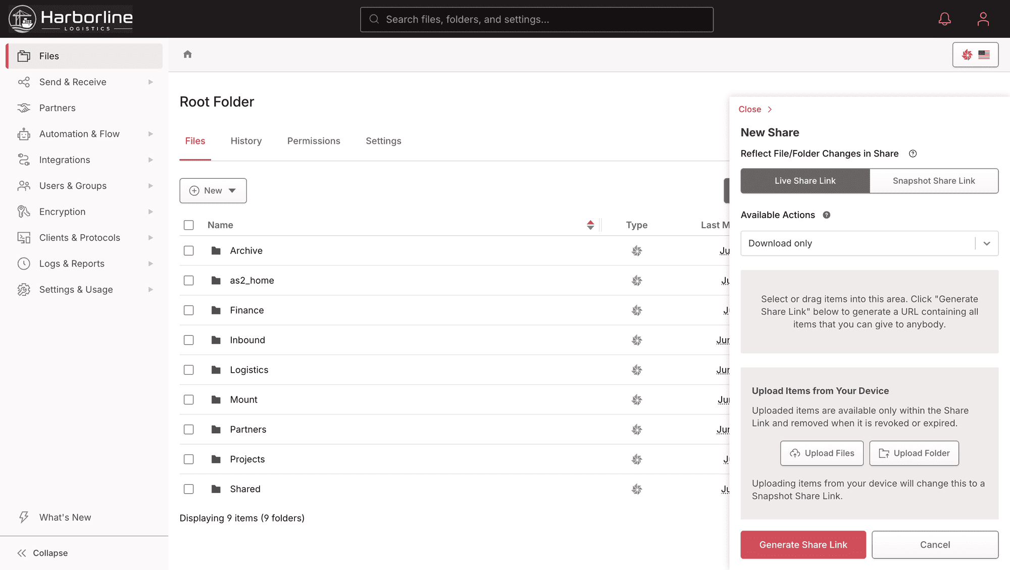 A Files.com share link with its security controls: a password, an expiration date, domain restrictions, and preview-only access, all set on the branded share page